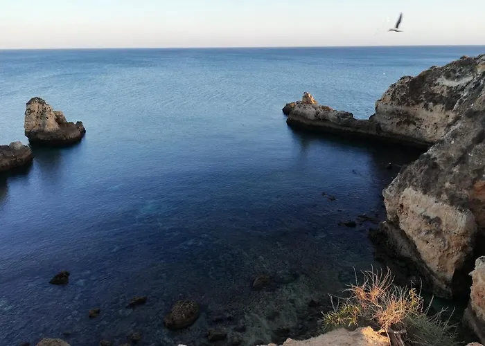 Devvine Beach And Golf *